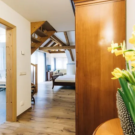 Tenz Hotel Montagna